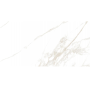 PERONDA TORANO GOLD/75,5х151/EP