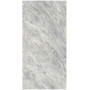 Ariostea Ultra Marmi BARDIGLIO CHIARO 300x150 LS 6мм (UM6L300670)