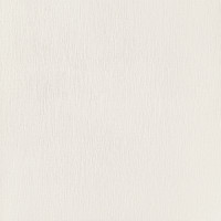 Domino Velo bianco 59,8x59,8 Gat.1