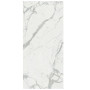 Сoem Wide Gres Statuario Effect 120х260 R (0ME261R)