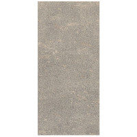 Сoem Wide Gres Porfirica Grey 120х260 R (0PO263R)
