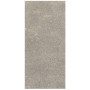 Сoem Wide Gres Porfirica Grey 120х260 R (0PO263R)