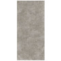 Сoem Wide Gres Lagos Light Grey 120х260 R (0OS263R)