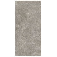 Сoem Wide Gres Lagos Light Grey 120х260 R (0OS263R)
