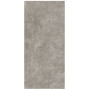 Сoem Wide Gres Lagos Light Grey 120х260 R (0OS263R)