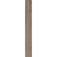 Paradyz WILDLAND NATURALE (TWILIGHT) GRES SZKL. REKT. 14,8X119,8 G1