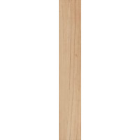 RONDINE GROUP J86585 WOODIE BEIGE
