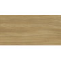 XTONE BY URBATEK G1050 EWOOD CAMEL NATURE 6 MM 160x320 (плитка настінна)