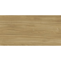 XTONE BY URBATEK G1050 EWOOD CAMEL NATURE 6 MM 160x320 (плитка настінна)