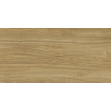 XTONE BY URBATEK G1050 EWOOD CAMEL NATURE 6 MM 160x320 (плитка настінна)